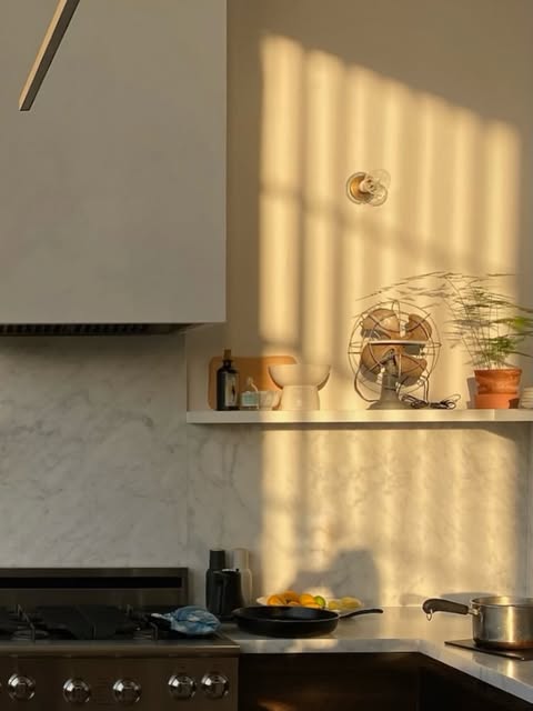 Afternoon sun through a window screen falling across a marble backsplash, open shelf and potted fern above a range.